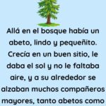 Un abeto que crece en el bosque