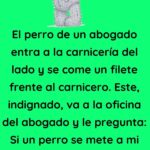 El perro de un abogado entra a la carnicería