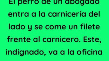 El perro de un abogado entra a la carnicería