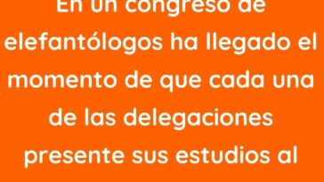 En un congreso de elefantólogos ha llegado