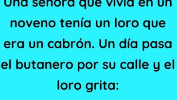 Una señora que vivía en un noveno tenía un loro que era un cabrón