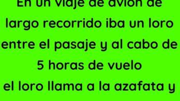 En un viaje de avion de largo recorrido