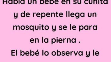 Un mosquito se posa en la pierna de un bebé