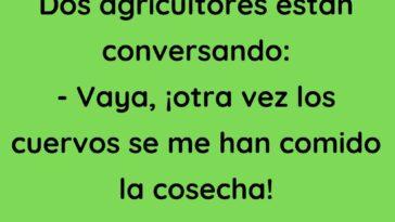 Dos agricultores están conversando