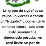 Un grupo de cigüeñas se reúne un viernes