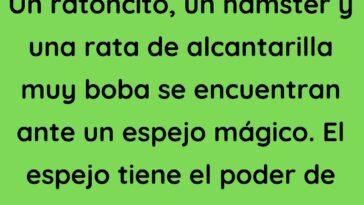 Un hámster y una rata de alcantarilla