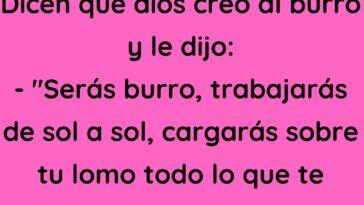 Dicen que dios creó al burro y le dijo