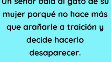 Un señor odia al gato de su mujer porqué