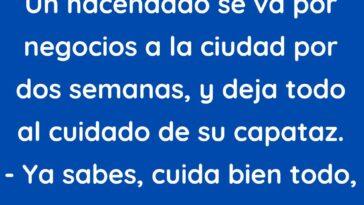 Un hacendado se va por negocios a la ciudad por dos semanas