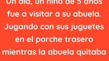 Un niño de 5 años fue a visitar a su abuela