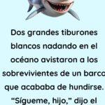 Dos tiburones blancos nadando en el océano