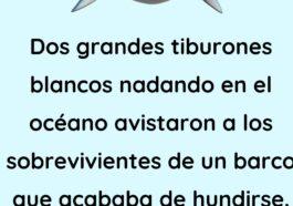 Dos tiburones blancos nadando en el océano