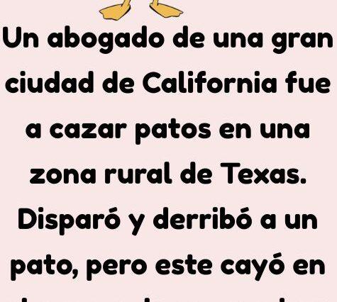 Puede quedarse con el pato