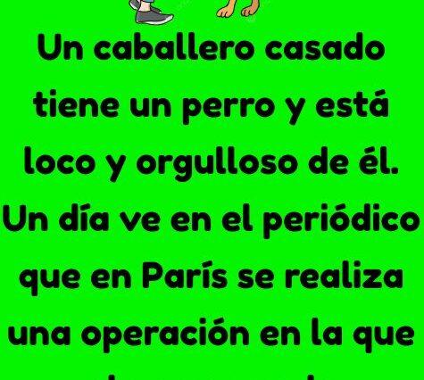Un caballero casado tiene un perro
