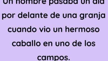 La sorpresa del caballo del granjero furtivo