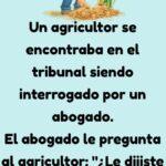 Un agricultor se encontraba en el tribunal siendo interrogado por un abogado