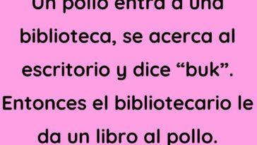 Un pollo entra en una biblioteca