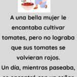 A una bella mujer le encantaba cultivar tomates