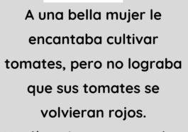 A una bella mujer le encantaba cultivar tomates