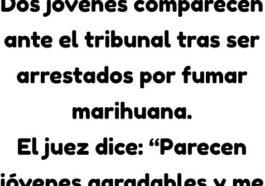 Dos jovenes comparecen ante el tribunal