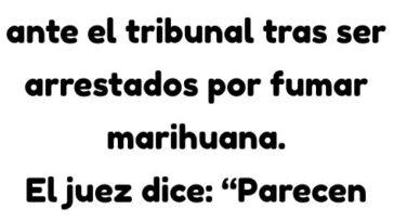 Dos jovenes comparecen ante el tribunal